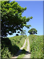 Farm track east of Titchberry in Devon