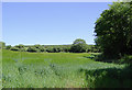 Pasture south-east of Titchberry in Devon