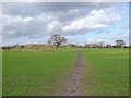 SJ6991 : Footpath west of Mount Pleasant Farm, Hollins Green by Gary Rogers