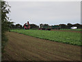 TG0143 : Sugar beet harvest near Kettle Hill by Hugh Venables