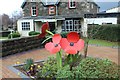 Remembrance poppies in Dolgarrog