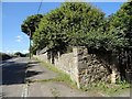 Garden wall at Pontop High Stables