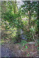 Culverted stream on south side Appleton Road