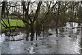 River Nadder at Quidhampton Mill