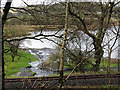 The Western end of Llyn Tegid/ Bala Lake