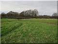 Tolworth Court Farm Fields