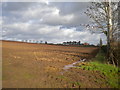 SK6546 : Ploughed field west of Lowdham by Richard Vince