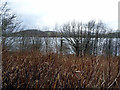 SH8931 : Bala Lake glimpsed over the hedge at Ffynongower by John Lucas