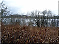 Bala Lake glimpsed over the hedge at Ffynongower