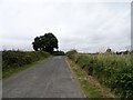 Looking north up Hollinhill Lane