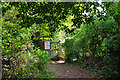 Approach to railway foot crossing, Chipstead Bottom