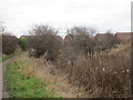 The Chesterfield Canal