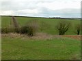 Countryside near Cuckoo Farm