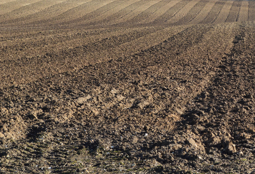 chalky-soil-south-stoke-oxfordshire-oswald-bertram-cc-by-sa-2-0