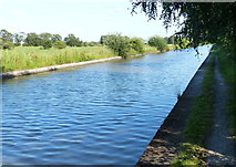 SJ6675 : Trent & Mersey Canal near Marston by Mat Fascione