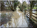 SP2755 : Flooded footpath by David P Howard