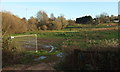 SX8866 : Meadow by Edginswell Business Park by Derek Harper