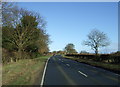 Lissett Lane (A165) 