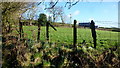 Roadside and pasture at Upper Fferm-wen