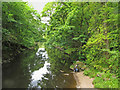 River Roe from Carrick Rocks Bridge