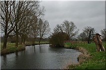 TM0633 : The Stour from Fen Bridge by Michael Garlick