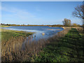 TL3773 : Ouse Valley Way past Berry Fen by Hugh Venables