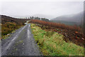 Forestry track above Fron-l