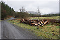 Pile of seasoned logs near Brwynen