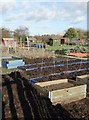 Stubbing Lane Allotments, Worksop