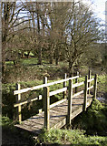 ST6566 : Wooden footbridge by Neil Owen