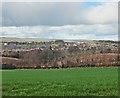 View towards Uffculme