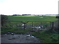 Field entrance off Filey Road