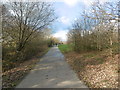 Waterfall Walk in Brunswick Park