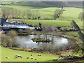 Lovely farm pond