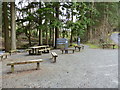 Seating in the Forest Garden