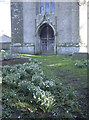 St James the Great and the snowdrops