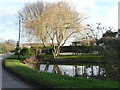 Pond at Titmore Green