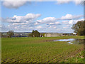 Wet field, Wyck Farm