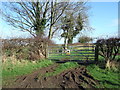 Field entrance off Outgaits Lane