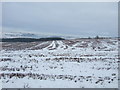 Snowy field east of Adelaide Bank