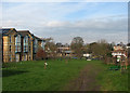 Midsummer Common Community Orchard