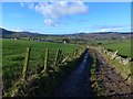 On the Barony Hill track