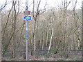 Footpath and NCN sign at Valleyfield