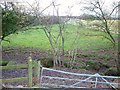 Footpath, Perkin