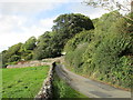 The road near Kerswell House