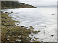 NH6162 : Shoreline below Toberchurn, Cromarty Firth by Julian Paren
