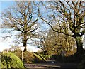 Road to Blackdown Gate