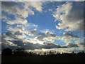 The sun trying to break through the clouds above Bushy Park