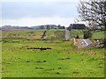NY8671 : Hadrian's Wall Trail east of Brocolitia by Andrew Curtis