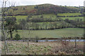 View across Cwm Hirnant